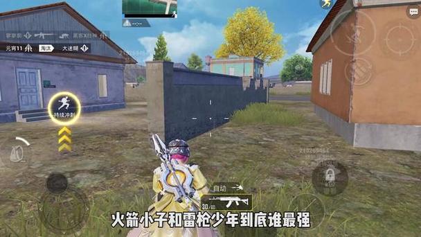 【战神W】和平精英辅助 安装即用支持新赛季 人物投试 人物方框 人物射线